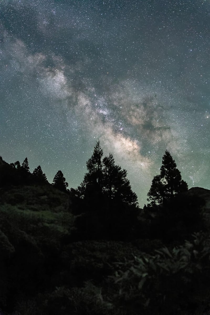Starry sky